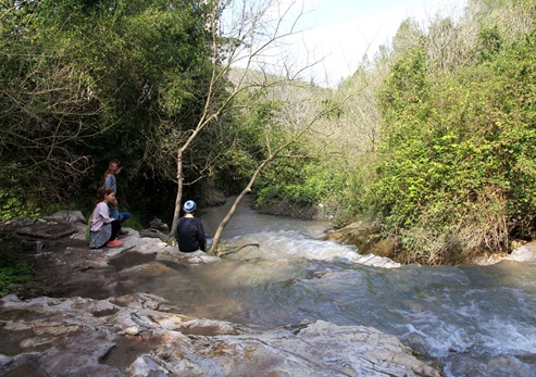 נחל השופט במלוא תפארתו. צילום: יעקב שקולניק, ארכיון הצילומים של קק"ל