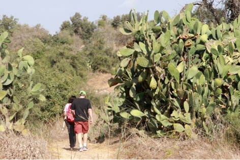 3 דרכים שונות ליהנות מפארק בריטניה