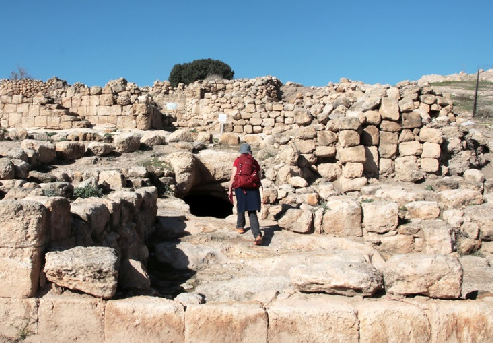 צללית דחפור במעלה התאנים. צילום: יעקב שקולניק, ארכיון הצילומים של קק''ל