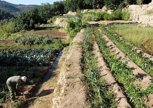 מסלול שביל הבעל בסטף. צילום: יעקב שקולניק, ארכיון הצילומים של קק״ל