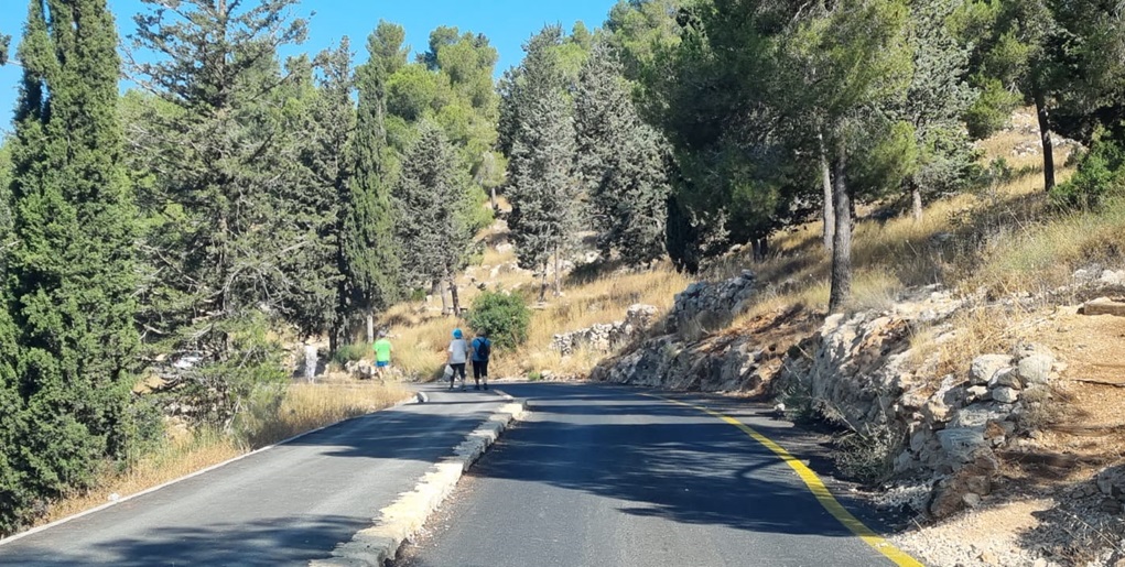 דרך שוכמן. צילום: עדי טנא נתן, קק"ל