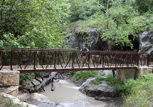 סלפיער: נקודות סלפי מומלצות ומפתיעות ביערות קק"ל