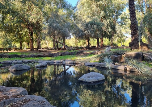 פארק הירדן. צילום: פנינה צייזלר, קק"ל