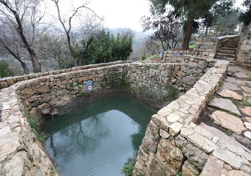 עין סטף. צילום: יוסי זמיר, ארכיון הצילומים של קקל