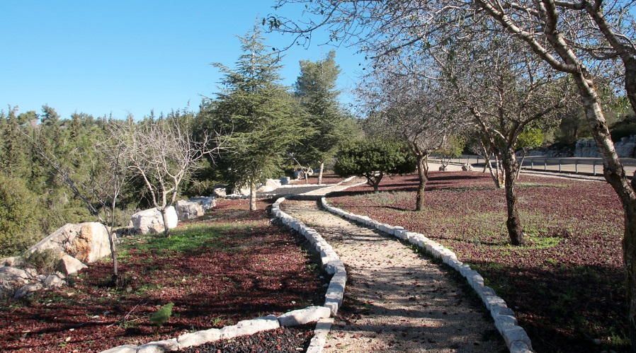 שביל העצים באנדרטת צ'לנג'ר. צילום: יעקב שקולניק, ארכיון הצילומים של קק"ל