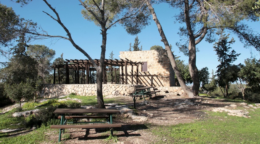 חניון בית היערן. צילום: יעקב שקולניק, ארכיון הצילומים של קק"ל