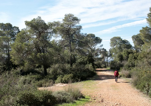 נוף בפארק. צילום: יעקב שקולניק, ארכיון הצילומים של קקל