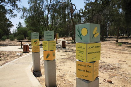 שביל בגן האיקלום. צילום: יעקב שקולניק, ארכיון הצילומים של קק"ל