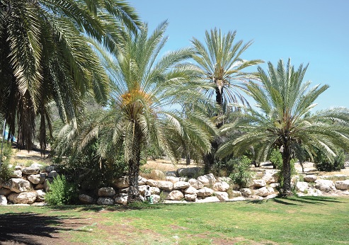 פארק איילון - קנדה