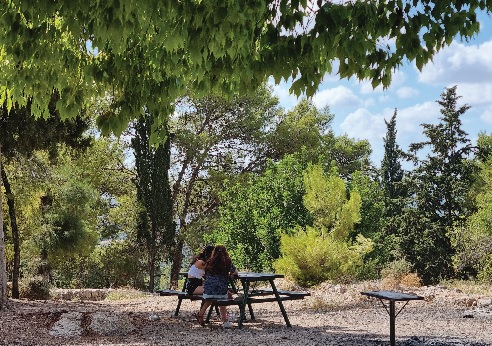 מטיילות בפארק איילון - קנדה