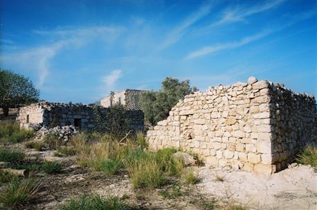 ממצאים ארכיאולוגיים בפארק אדמית. צילום: אבי הירשפילד