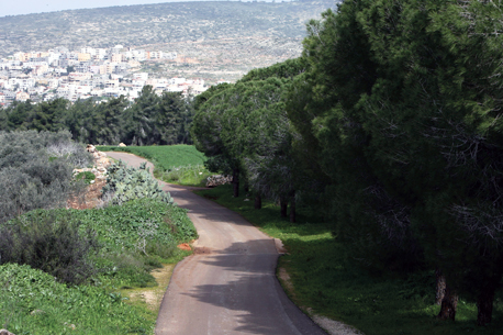 דרך הבשורה ביער בית קשת