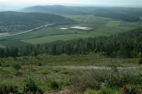 פארק בריטניה. צילום: ארכיון קקל