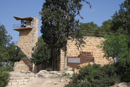 מצפה הראל ביער אשתאול