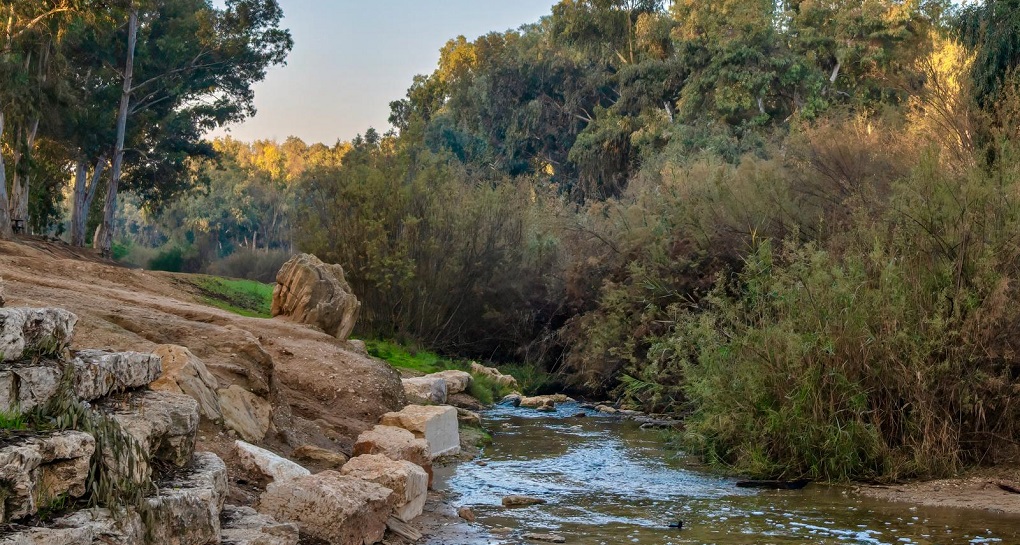 פארק שרשרת נחל גרר. צילום: בוני שיינמן, קקל