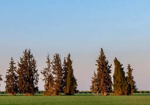 פארק שרשרת נחל גרר. צילום: בוני שיינמן, קקל