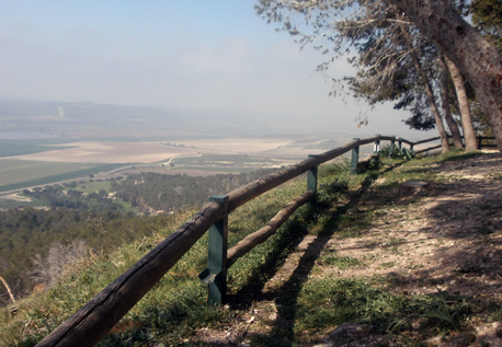 הנוף הנשקף מיער צרעה-הנשיא. צילום: מירה זר