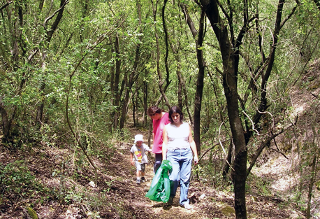 מטיילים בשביל נחל הבאר
