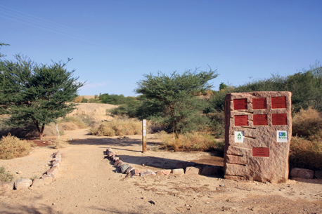 שביל בפארק. צילום: יעקב שקולניק, ארכיון הצילומים של קקל