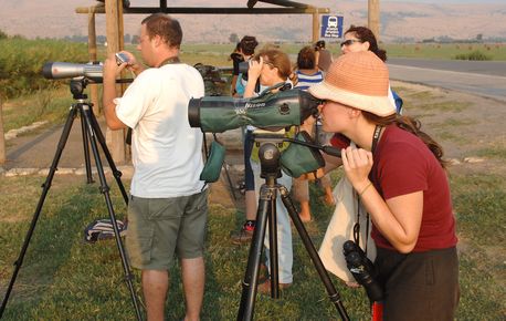 צופים בציפורים בפארק החולה. צילום: ארכיון צילומי קק''ל