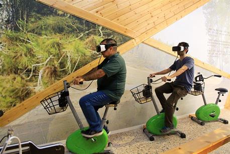 רכיבה וירטואלית ביער. צילום: יעקב שקולניק