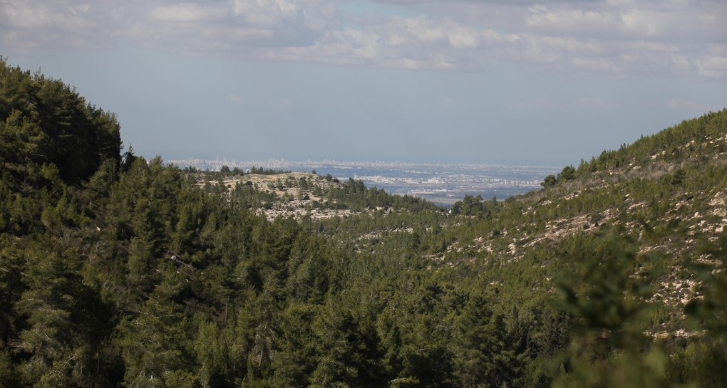 צילום: ארכיון הצילומים של קקל