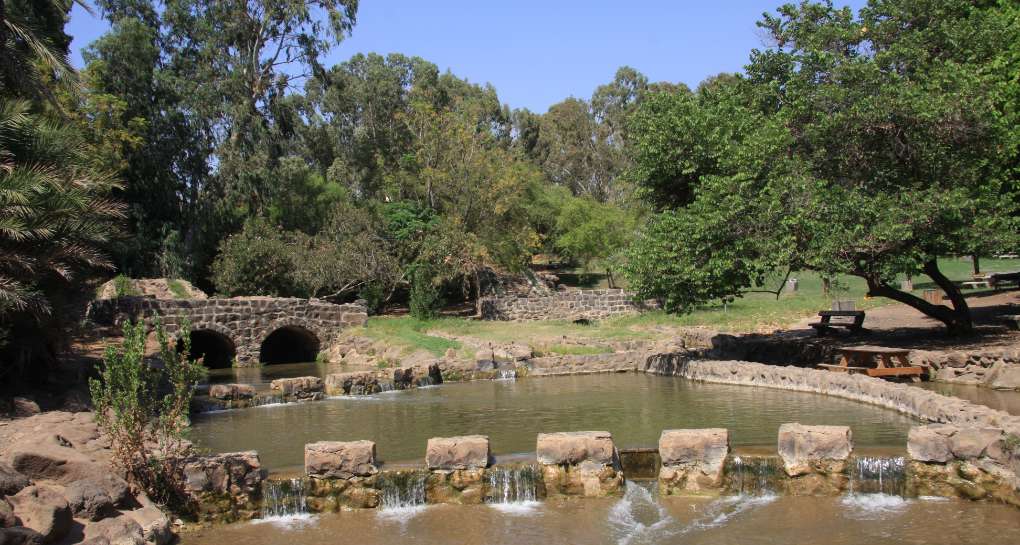 פארק הירדן. צילום: ארכיון הצילומים של קק"ל