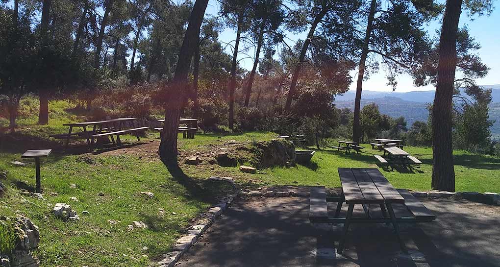 צילום: יעקב שקולניק, ארכיון הצילומים של קקל