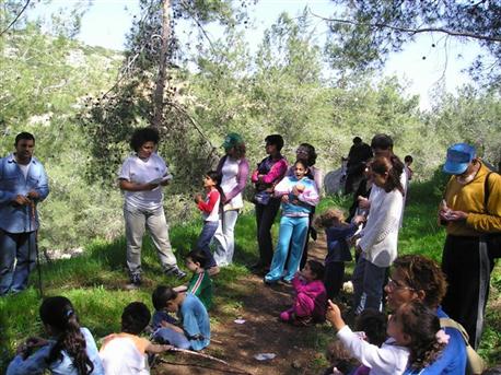 מבקרים ביער ראש העין. צילום: מלכה ברקאי, ארכיון הצילומים של קק"ל