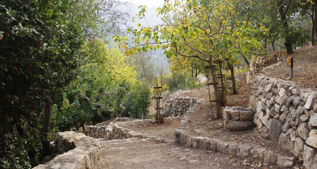 צילום: ארכיון הצילומים של קקל