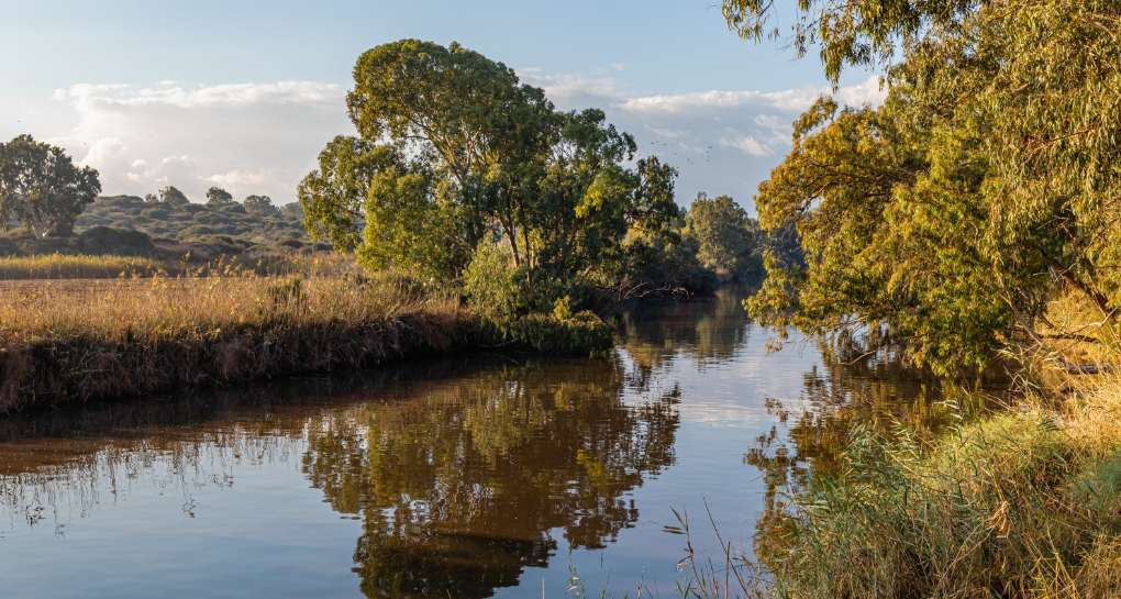 

פארק איטליה נחל אלכסנדר. צילום: Shutterstock

