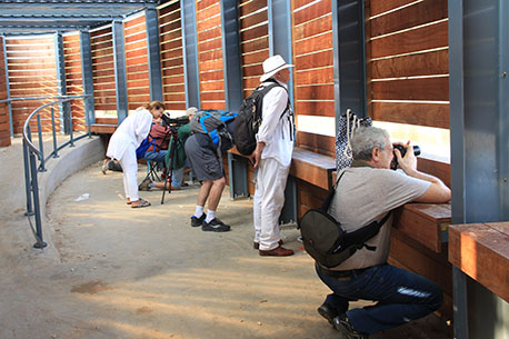 צפרים בעמדת התצפית. צילום: יעקב שקולניק