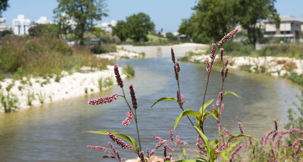 פארק ראש ציפור. צילום: יואב לין