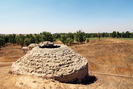 בור מרווה. צילום: יעקב שקולניק, ארכיון הצילומים של קק"ל