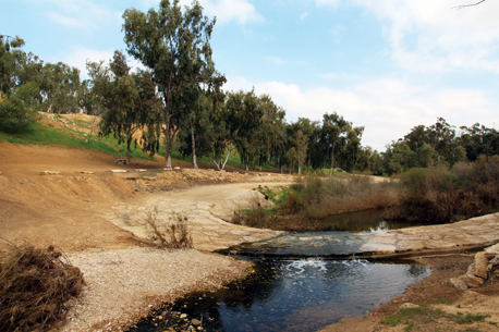 פארק שרשרת. צילום: יעקב שקולניק, ארכיון הצילומים של קק"ל