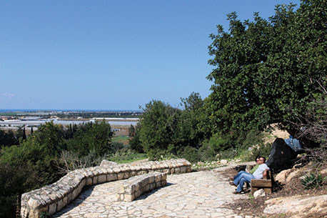 מצפור עדנה רוג'רס