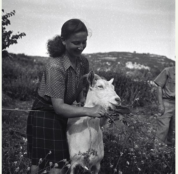 עולה חדשה במושב מעונה שבגליל העליון, 1949 / צילום: זולטן קלוגר, ארכיון הצילומים של קק"ל