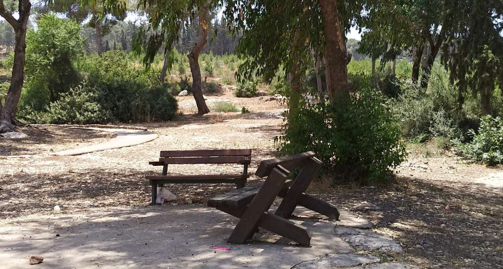 צילום: ארכיון הצילומים של קקל