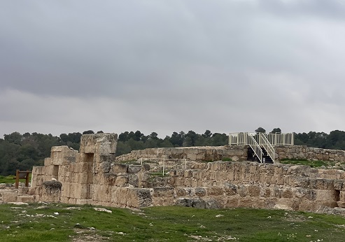 חורבת ענים. צילום: אורנית גינת, קקל