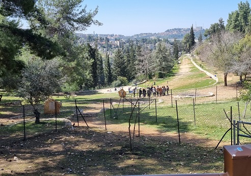 יער ירושלים. צילום: עדי טנא נתן, קקל