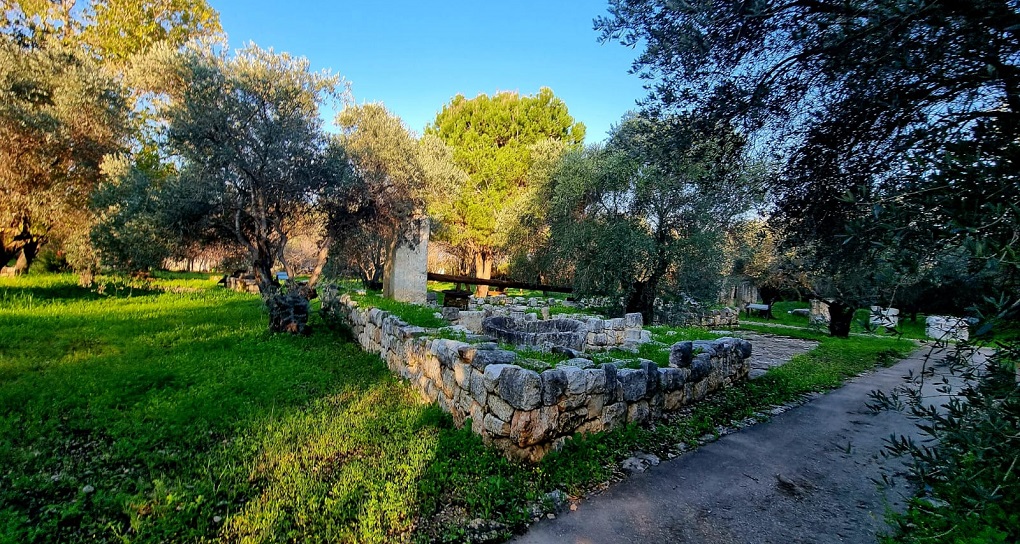 גן יערני ארכיאולוגי ביער כברי. צילום: שושנה כהן, קק"ל