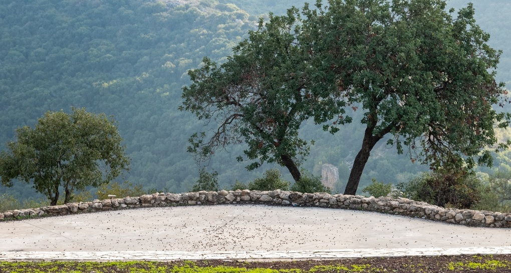 צילום: בוני שיינמן, קקל