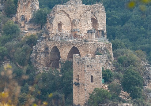 צילום: בוני שיינמן