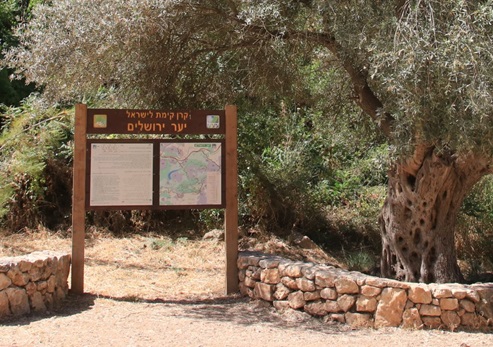 שלט מבואה בכניסה לשביל החרוב. צילום: יעקב שקולניק, ארכיון הצילומים של קקל