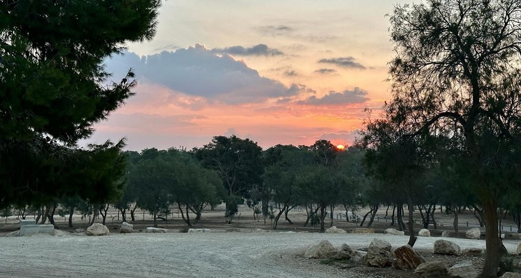 צילום: בוני שיינמן, קק"ל