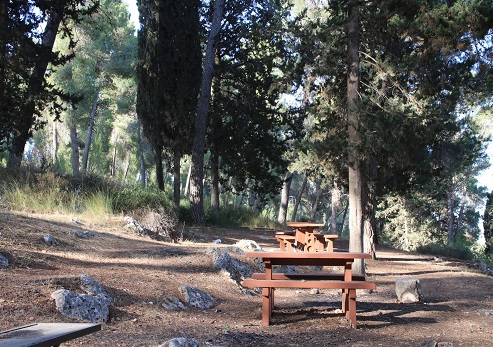 חניון בדרך אוטווה. צילום: יעקב שקולניק, ארכיון הצילומים של קקל