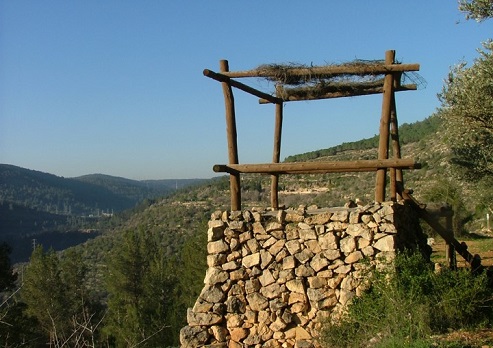צילום: גידי בשן, קק"ל