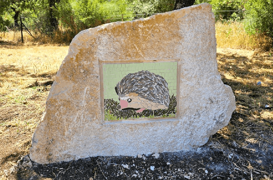 שלושה מסלולים מעגליים מומלצים של קק"ל