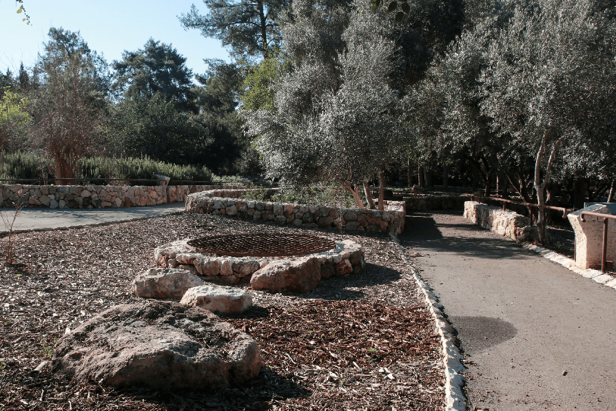 בור מים עתיק בצד השביל. צילום: יעקב שקולניק, ארכיון הצילומים של קק''ל