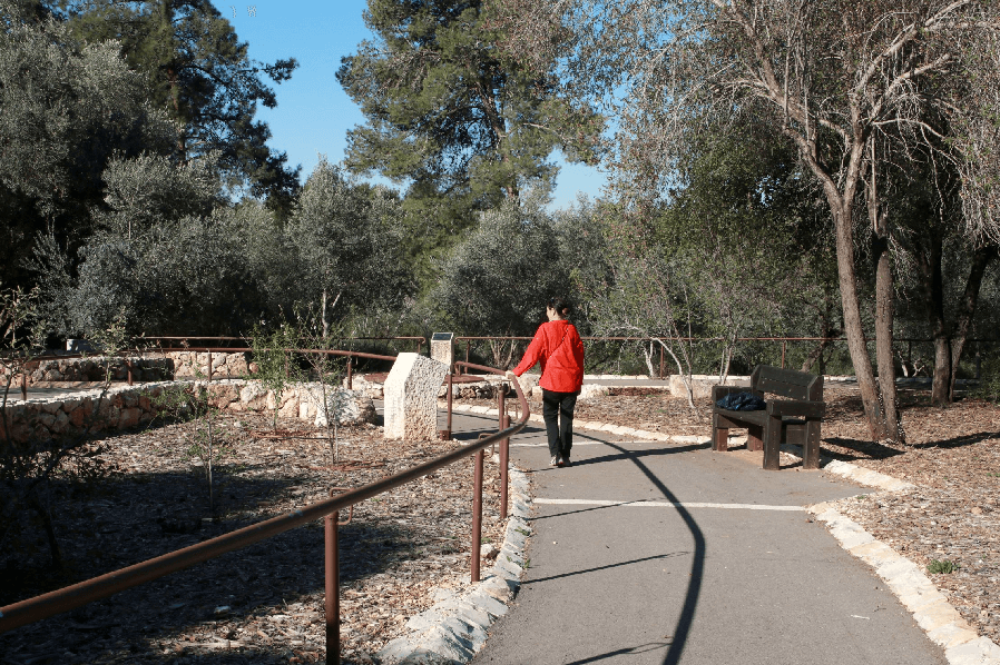 מעקה מלווה את השביל כולו. צילום: יעקב שקולניק, ארכיון הצילומים של קק''ל